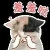 semua situs slot 4d Zhou Li tidak bisa menahan untuk mengeritingkan jarinya, dan ujung jarinya mengaitkan ujung rambut Jiang Xingchen